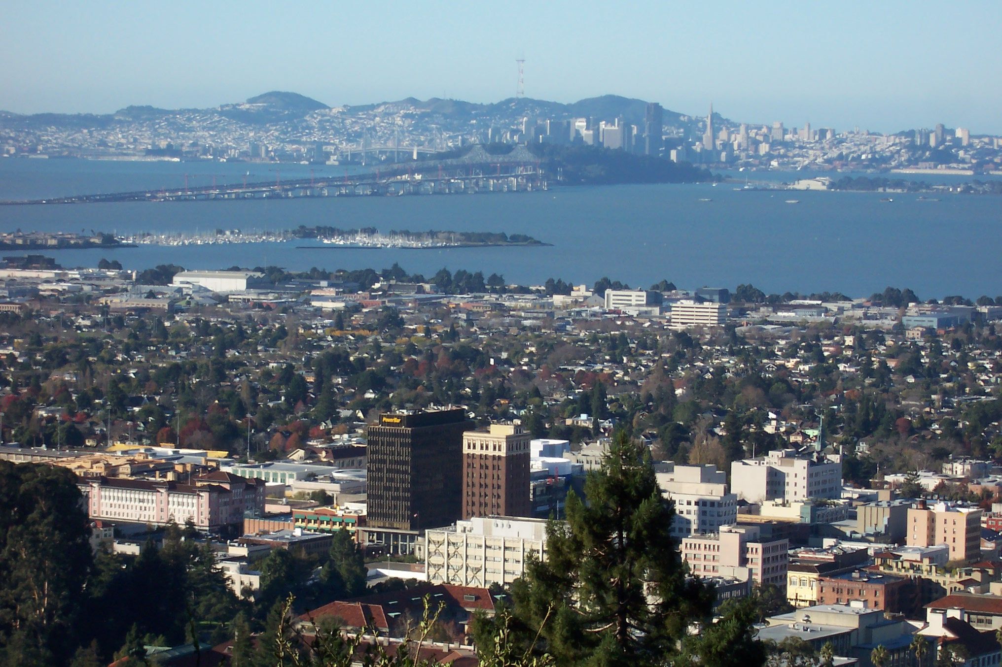California Berkeley.jpg